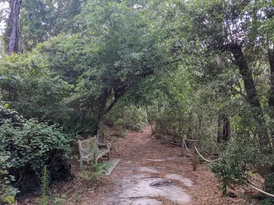 Jekyll Island, Georgia — photo 36