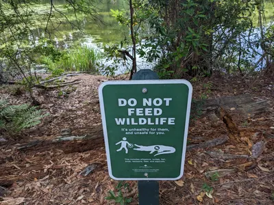 Jekyll Island, Georgia — photo 37