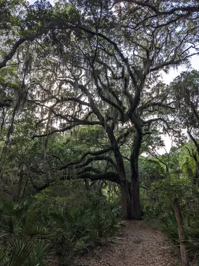 Jekyll Island, Georgia — photo 38