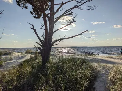 Jekyll Island, Georgia — photo 58