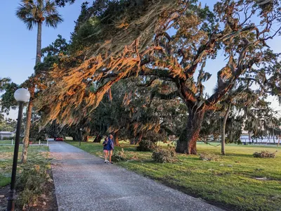 Jekyll Island, Georgia — photo 64