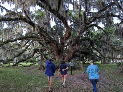Jekyll Island, Georgia — photo 66