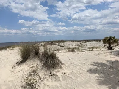 Jekyll Island, Georgia — photo 76
