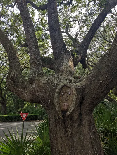 Jekyll Island, Georgia — photo 79
