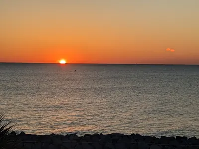 Jekyll Island, Georgia — photo 83