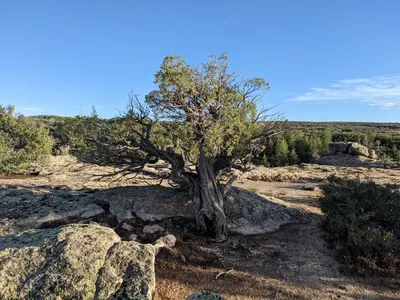 Black Canyon of the Gunnison – 2 — photo 11
