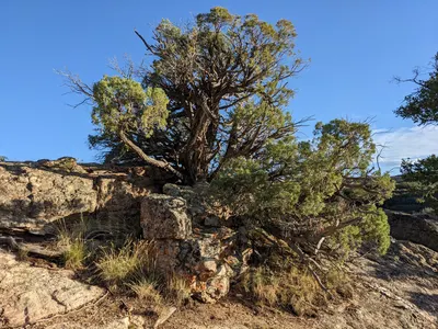 Black Canyon of the Gunnison – 2 — photo 12