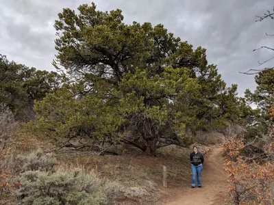 Black Canyon of the Gunnison — photo 6