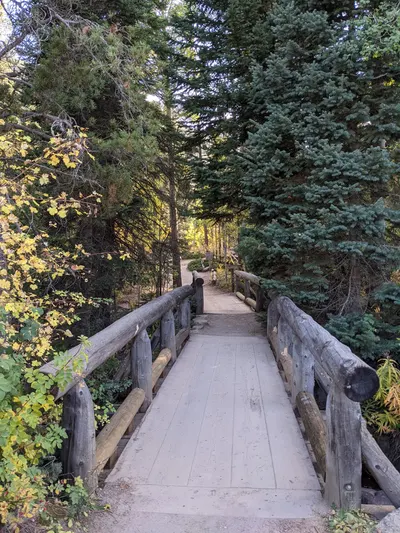 Camp Dick / Wild Basin Area / Brainard Lake Recreation Area — photo 11