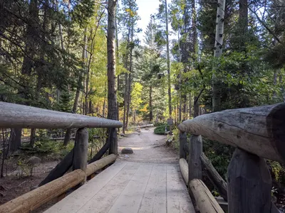 Camp Dick / Wild Basin Area / Brainard Lake Recreation Area — photo 12