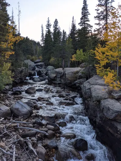 Camp Dick / Wild Basin Area / Brainard Lake Recreation Area — photo 19