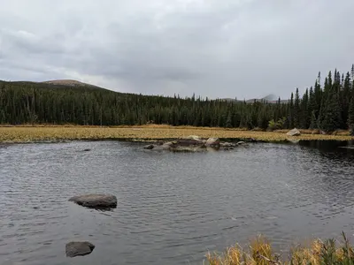 Camp Dick / Wild Basin Area / Brainard Lake Recreation Area — photo 28