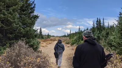 Camp Dick / Wild Basin Area / Brainard Lake Recreation Area — photo 31