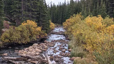 Camp Dick / Wild Basin Area / Brainard Lake Recreation Area — photo 38