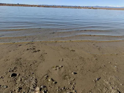 Cherry Creek State Park — photo 14