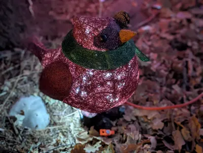 Christmas Birds — photo 1