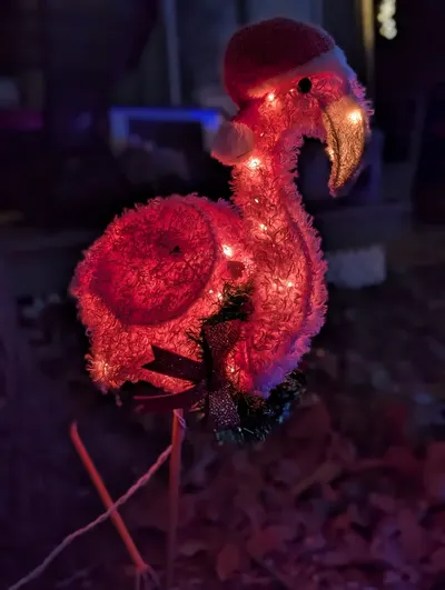 Christmas Birds — photo 2