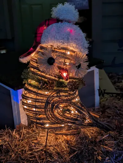 Christmas Birds — photo 3