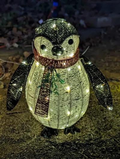 Christmas Birds — photo 6