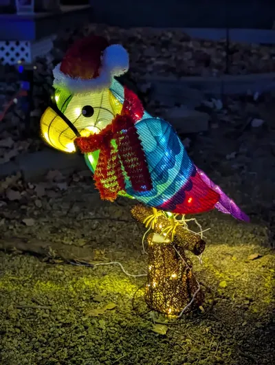 Christmas Birds — photo 7