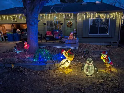 Christmas Birds — photo 8