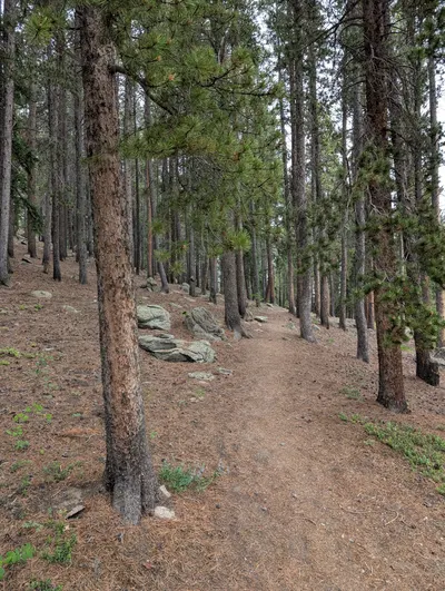 Cold Springs - Arapaho Roosevelt — photo 11