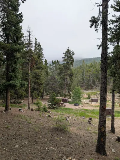 Cold Springs - Arapaho Roosevelt — photo 12