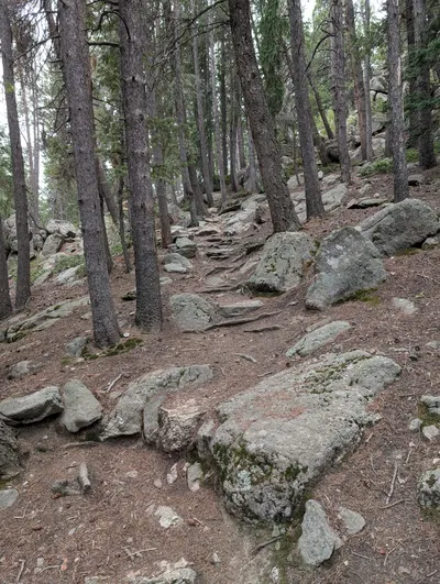 Cold Springs - Arapaho Roosevelt — photo 14