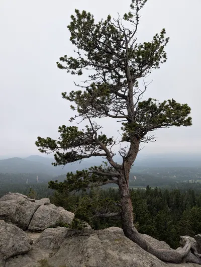 Cold Springs - Arapaho Roosevelt — photo 17