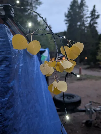 Columbine Campground — photo 7