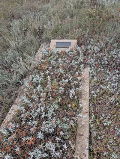Columbine Campground — photo 12