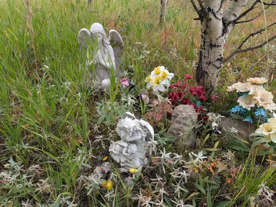 Columbine Campground — photo 13