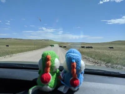 Crow Valley – Pawnee National Grassland — photo 8