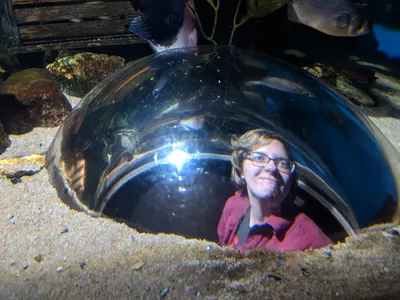 Denver Aquarium — photo 3
