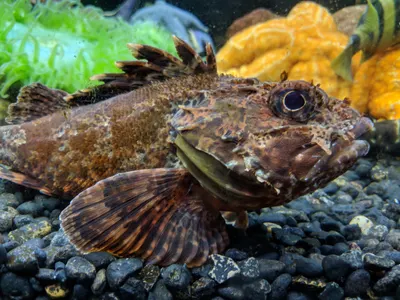 Denver Aquarium — photo 4