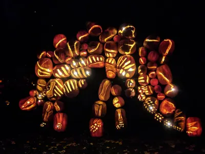 Denver Zoo Dinosaurs — photo 3