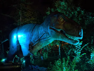 Denver Zoo Dinosaurs — photo 6