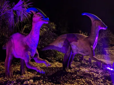 Denver Zoo Dinosaurs — photo 9