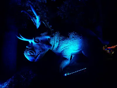 Denver Zoo Dinosaurs — photo 11