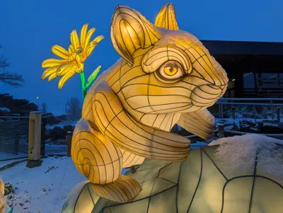 Denver Zoo Lights — photo 10