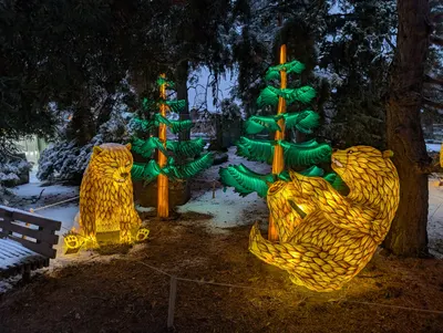 Denver Zoo Lights — photo 15