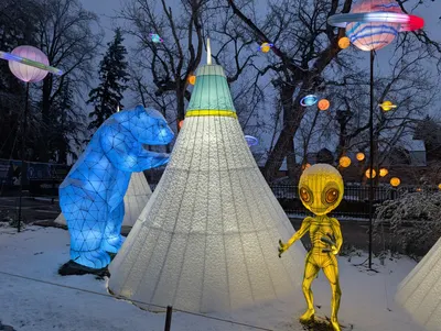 Denver Zoo Lights — photo 16