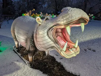Denver Zoo Lights — photo 23
