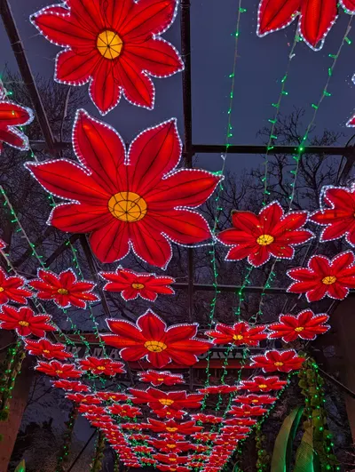 Denver Zoo Lights — photo 24
