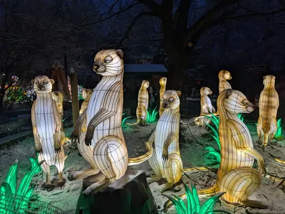 Denver Zoo Lights — photo 27
