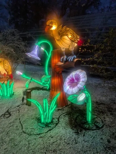 Denver Zoo Lights — photo 29
