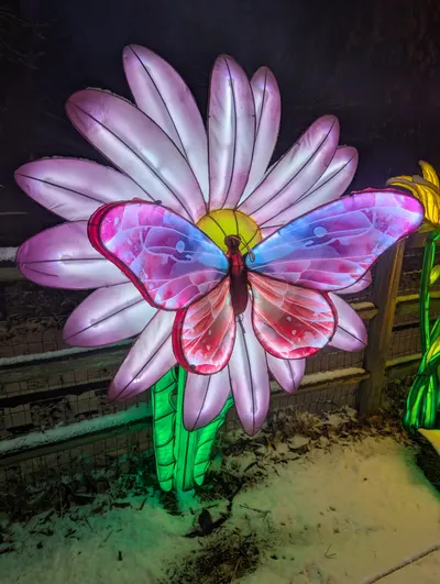 Denver Zoo Lights — photo 30