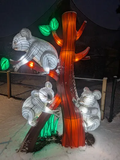 Denver Zoo Lights — photo 34