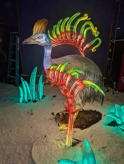 Denver Zoo Lights — photo 35