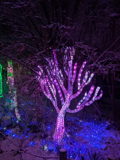 Denver Zoo Lights — photo 40